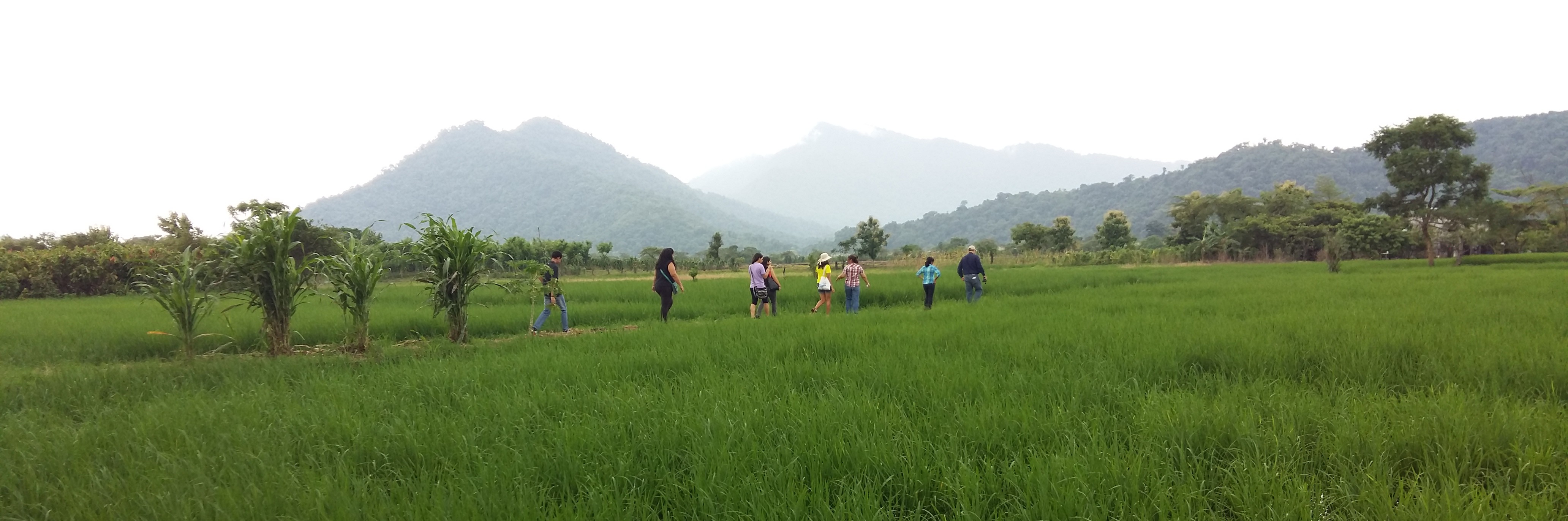 20160410_104224 20160410_104224